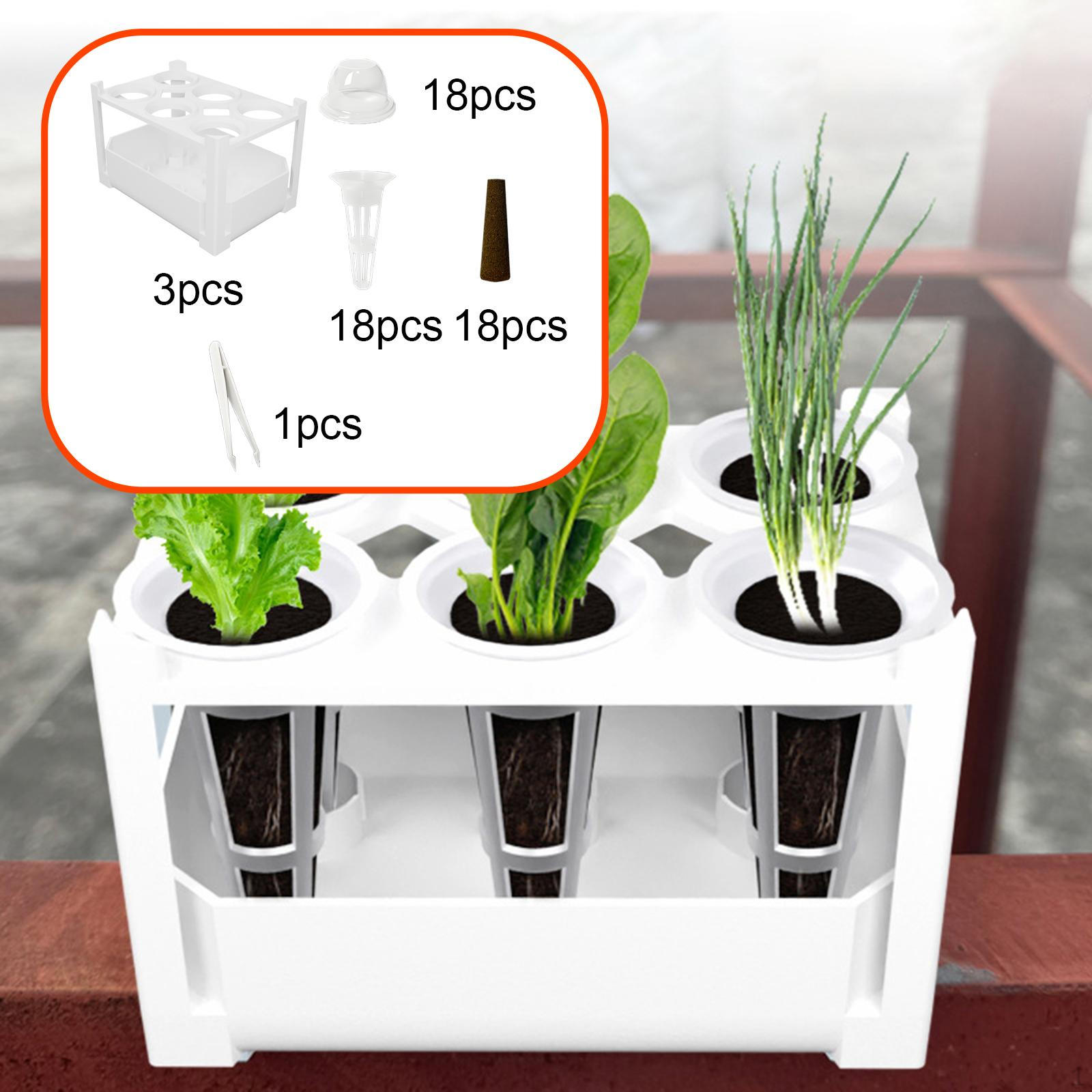

Гидропоника Посадочный контейнер с отверстием для выращивания Беспочвенное культивирование Набор для выращивания для рынка, офиса, партера 3 set