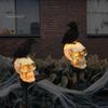 Horror Themed Yard Landscape Ornaments LED Solar Crow Skull Light, Waterproof Halloween Pathway Gothic Decorative Stakes for Flowerbeds on Skeleton