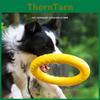 Pet Infinity Eva Hüpfball Wurfspielzeug für aktive Hunde und Welpen
