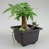 Plastic Bonsai Training Pots Flower Plant Nursery Pot Planter Balcony Garden Use