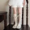 1 Pair Lace Trim Lace Socks Thin Material Lolita Socks Cute Style Slouch Socks  Casual Wear