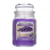 PriceÂ´s Candles Time For You Lavender Scented Candle