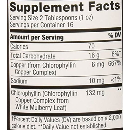 Chlorofresh Liquid Mint 480ml