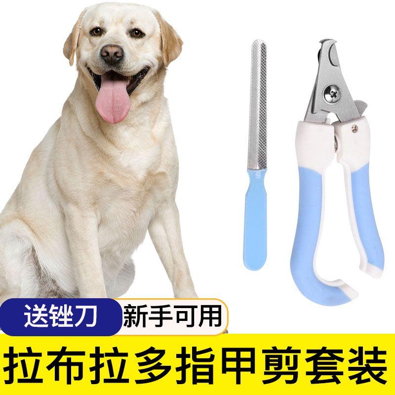 

Labrador Dog Nail Scissors Nail Piercing Device Dedicated Nail Clippers Nail Scissors Nail Clippers Pet Supplies Labrador nail clippers Suit large (Length 16.5cm)