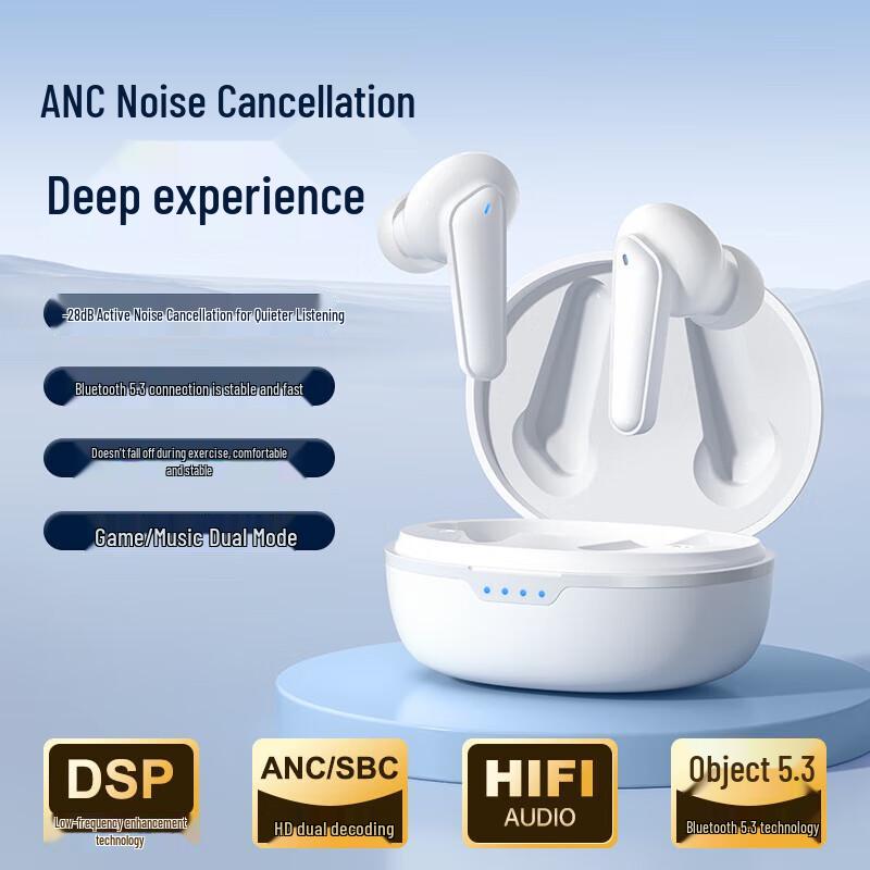 

SKYLION ANC Wireless In-Ear Earphones