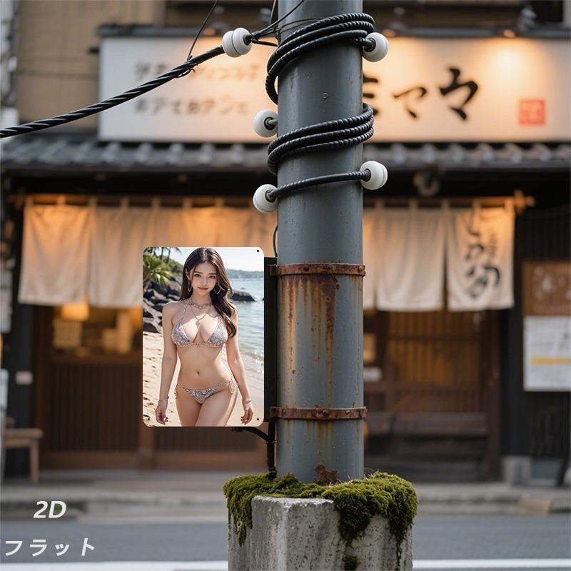 Retro Metal Wall Art Summer Beach Bikini Tin Sign 8x12 Inch Gold Trim Decor for Living Room Bedroom Entryway