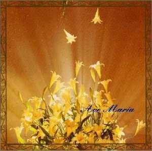 

CD VARIOUS - Ave Maria 100% BVCC7461 Japan Classical Used