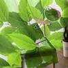 Branch Green Leaves Sheer Curtains for Living Room Transparent Tulle Window Treatments Bedroom Kitchen Home Decor Veil Drapes