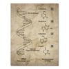DNA und RNA Genetischer Code Wandkunst Leinwandbild Drucke Genetik Biochemie Studenten Geschenk Vintage Poster Wissenschaftliche Wanddekoration