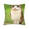 Funny Smiling Meowl Cat (2) Pillow Case Morden Pillow Cover Design Pillowcases For Sofa Bedroom Home Decor