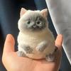 Cute Stress Relief Toy With Flocking Surface Cat Pinching Toy  for Adults Kids