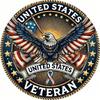 Veterans Pride 8x8 Inch Embossed Metal Sign Patriotic Wall Art Home Decor American Flag Rustic