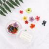 Handmade Manicure Accessories Nail Art Dried Flower 3D Nail Art Decorations DIY Nail Decals