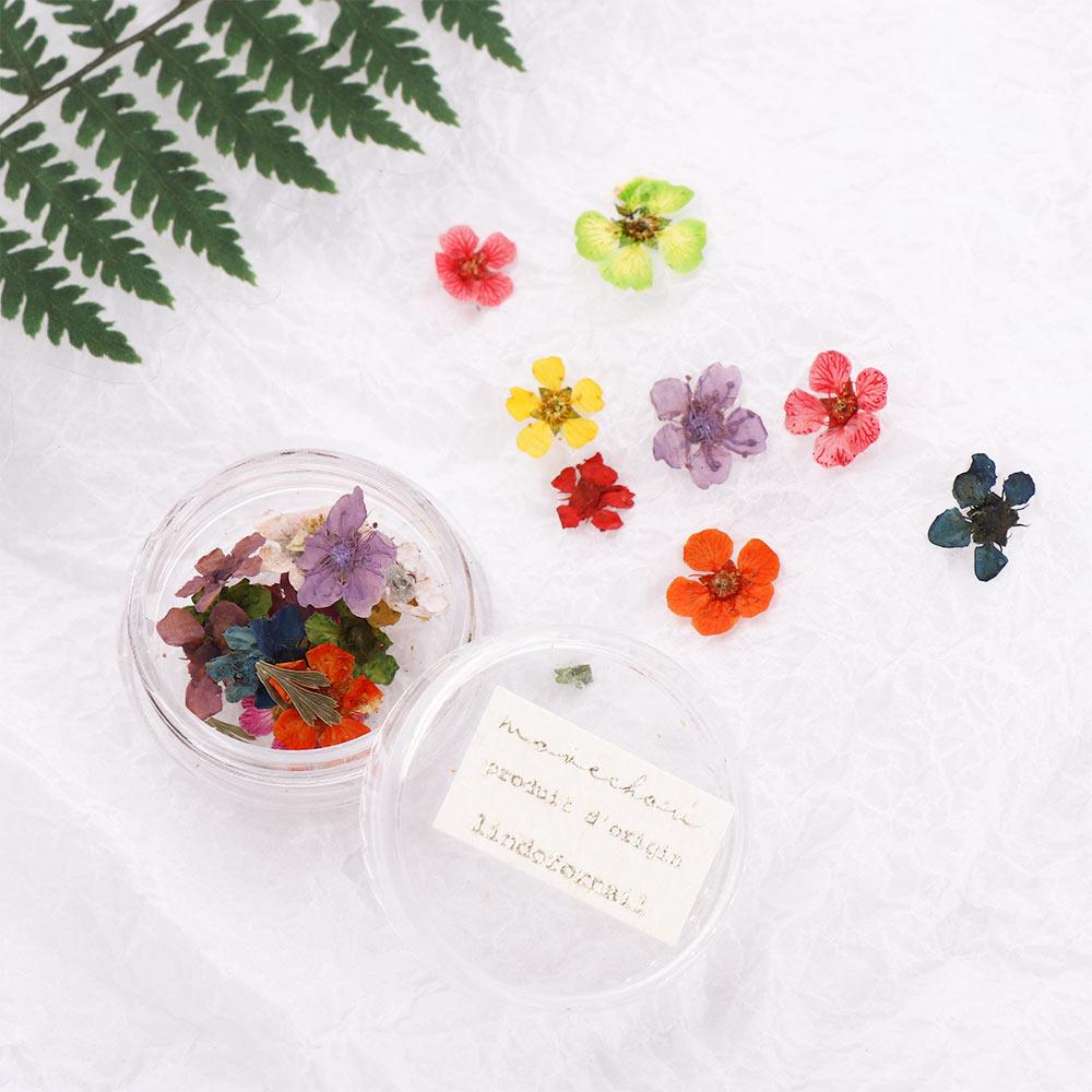 Handmade Manicure Accessories Nail Art Dried Flower 3D Nail Art Decorations DIY Nail Decals
