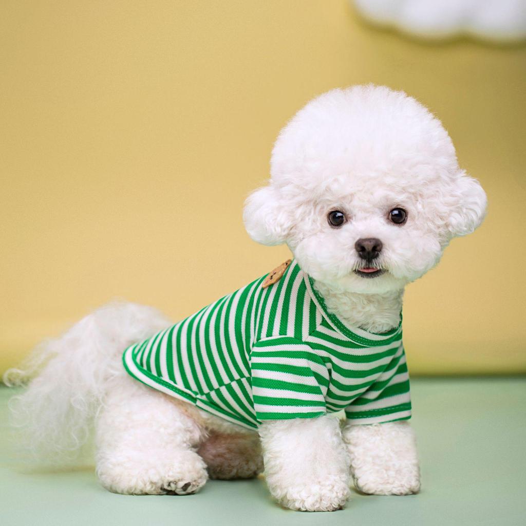 Striped Pet Dog T-Shirt for Small & Medium Breeds - Two-Legged Design, Spring/Summer Collection for Teddy Puppies