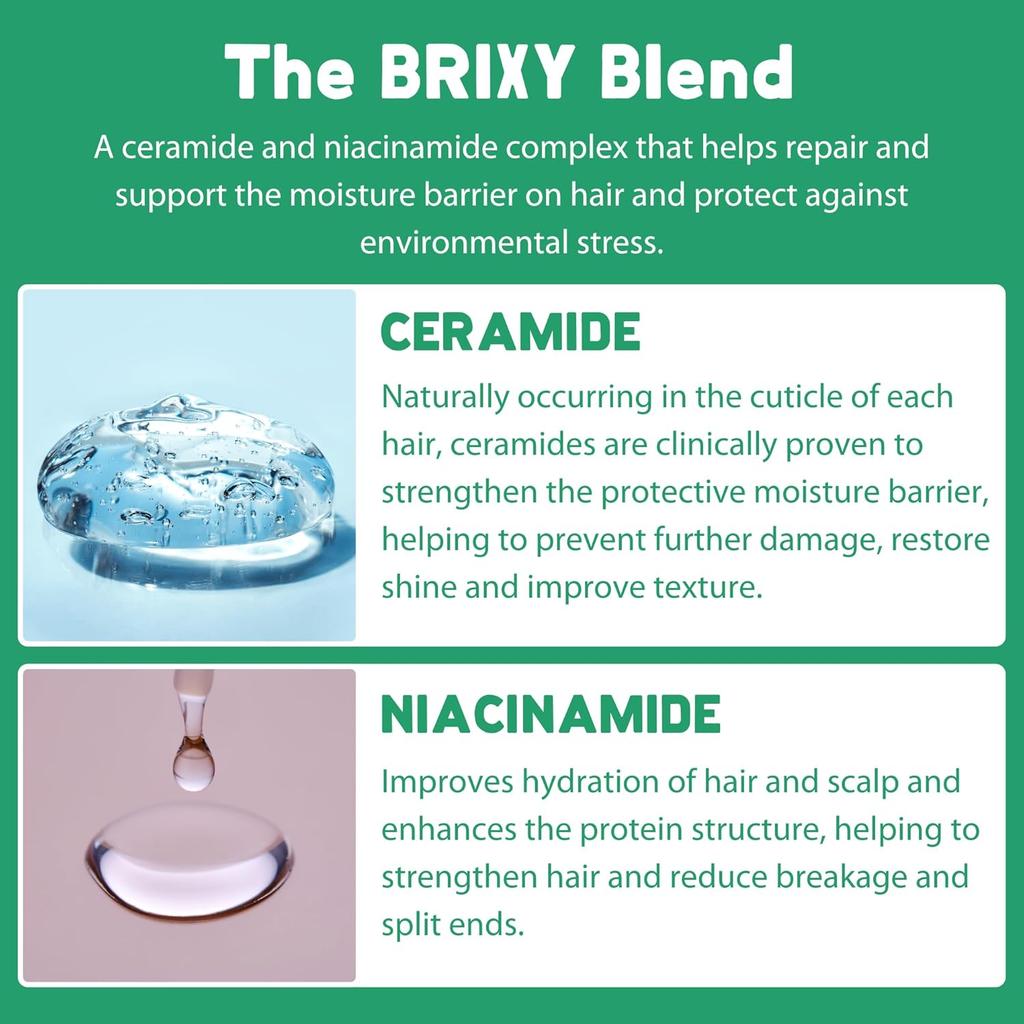 BRIXY Oil Argan Oil Balance Shampoo Bar for Oily Scalp with Provitamin B5 - Mint Eucalyptus Fragrance Shampoo Bar For Oily Scalp, 1 X 113g
