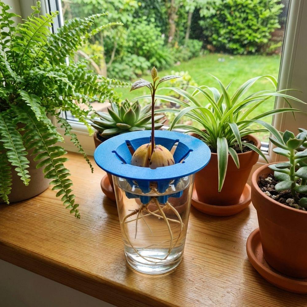 Soil-Free Seedling Tray Plastic Hydroponic Stand Special Holder Avocado Planter  Plant Observation