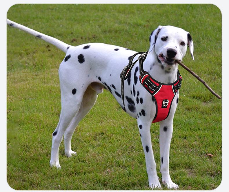 Explosion-Proof Reflective Dog Harness for Medium & Large Dogs - Breathable Oxford Cloth Vest with Leash