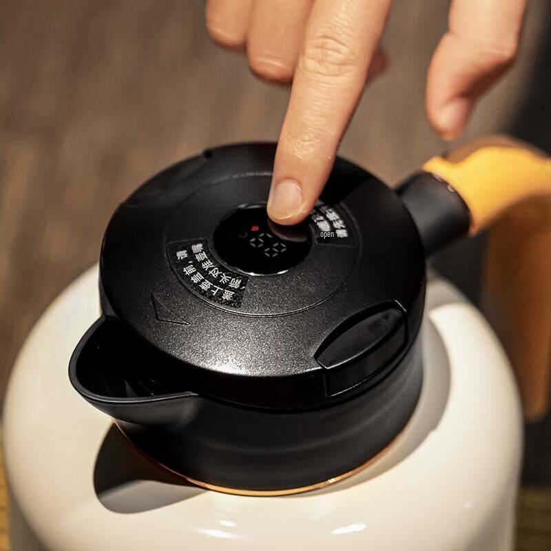 Large Capacity Tea Infuser Pot with Temperature Display