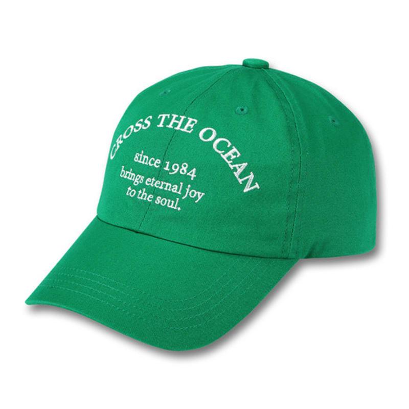 DOLPHIN WAVE APPAREL Dolphin Lettering Ball Cap_123824GN