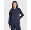 Serif Linear Hoodie