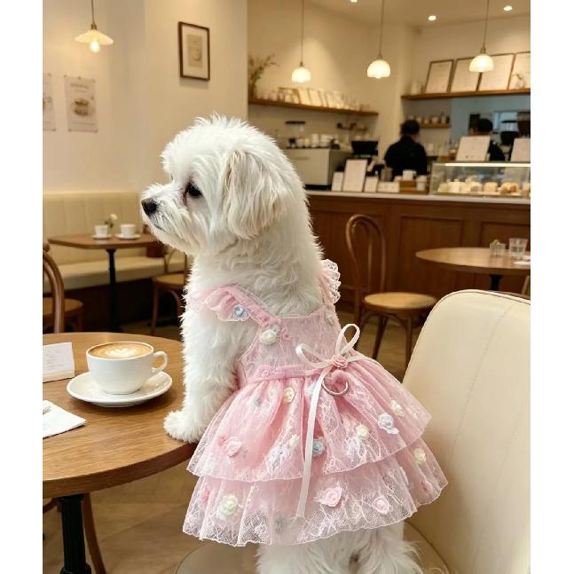 Sweet Lace Princess Dog Dress Thin Puppy Summer Clothes with 3D Floral Decor For Small Medium Cat Teddy Chihuahua Dog Clothes