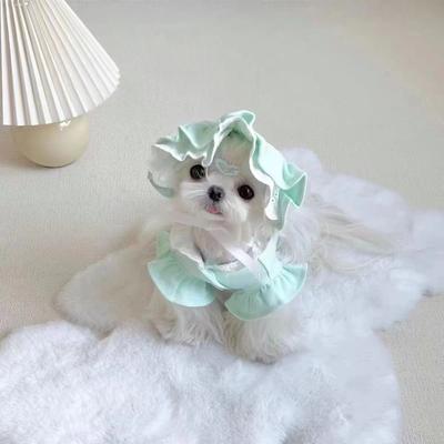 Neues süßes bequemes Spitzen-Tanktop Frühling/Sommer Teddy Kleine mittelgroße Hunde Haustier Hund Katze Welpen Prinzessin Kleidungsset mit Hut