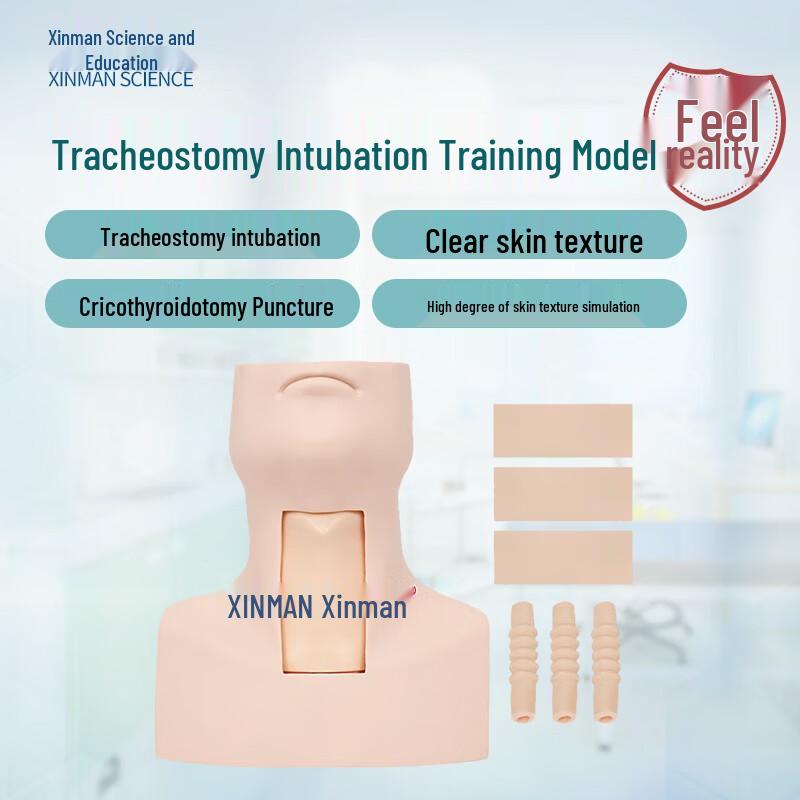 Advanced Cricothyroid Puncture and Tracheotomy Training Manikin