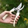 Stainless Steel Scissors Flower Cutting Flower Arrangement Pruning Fruit Tree Garden Branch Cutting Household Grafting