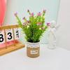 Perennis Bellis Potted Plant Linen Flower Pot For Hotel Dining Room Decoration