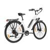TTGO HZ-28ST Elektrofahrrad für Erwachsene 28" Step-Thru Commuter City Ebike 250W Motor 36V 20Ah Akku