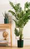 Pot with Stand Azalea Avocado 35 Cm
