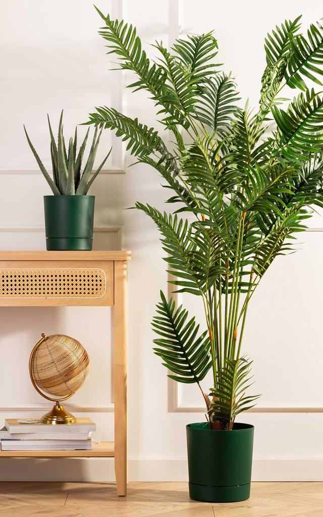 Pot with Stand Azalea Avocado 35 Cm