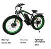 2026 New BLJ DP-2602 2000W Dual Motor 48V 23AH Battery Hydraulic Brake, Aluminum Alloy Frame, Adult Electric Bicycle.