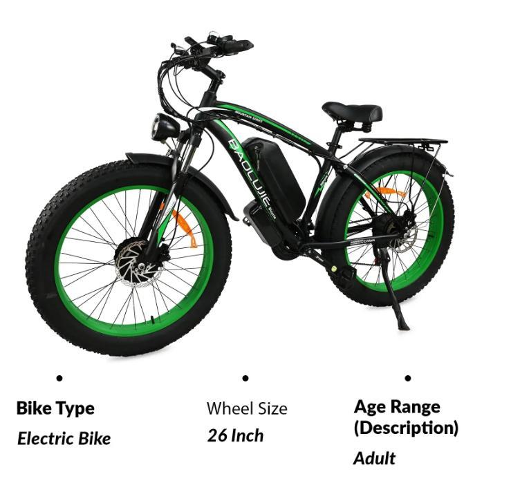 2026 New BLJ DP-2602 2000W Dual Motor 48V 23AH Battery Hydraulic Brake, Aluminum Alloy Frame, Adult Electric Bicycle.