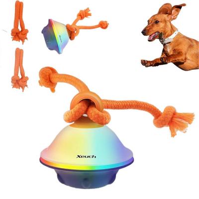 Cani – Giocattoli per cani