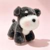 Cute Plush Toy of A Realistic Little Dog, Such As A Corgi or Shiba Inu.Cute Plush Toy of A Realistic Little Dog, Such As A Corgi or Shiba Inu