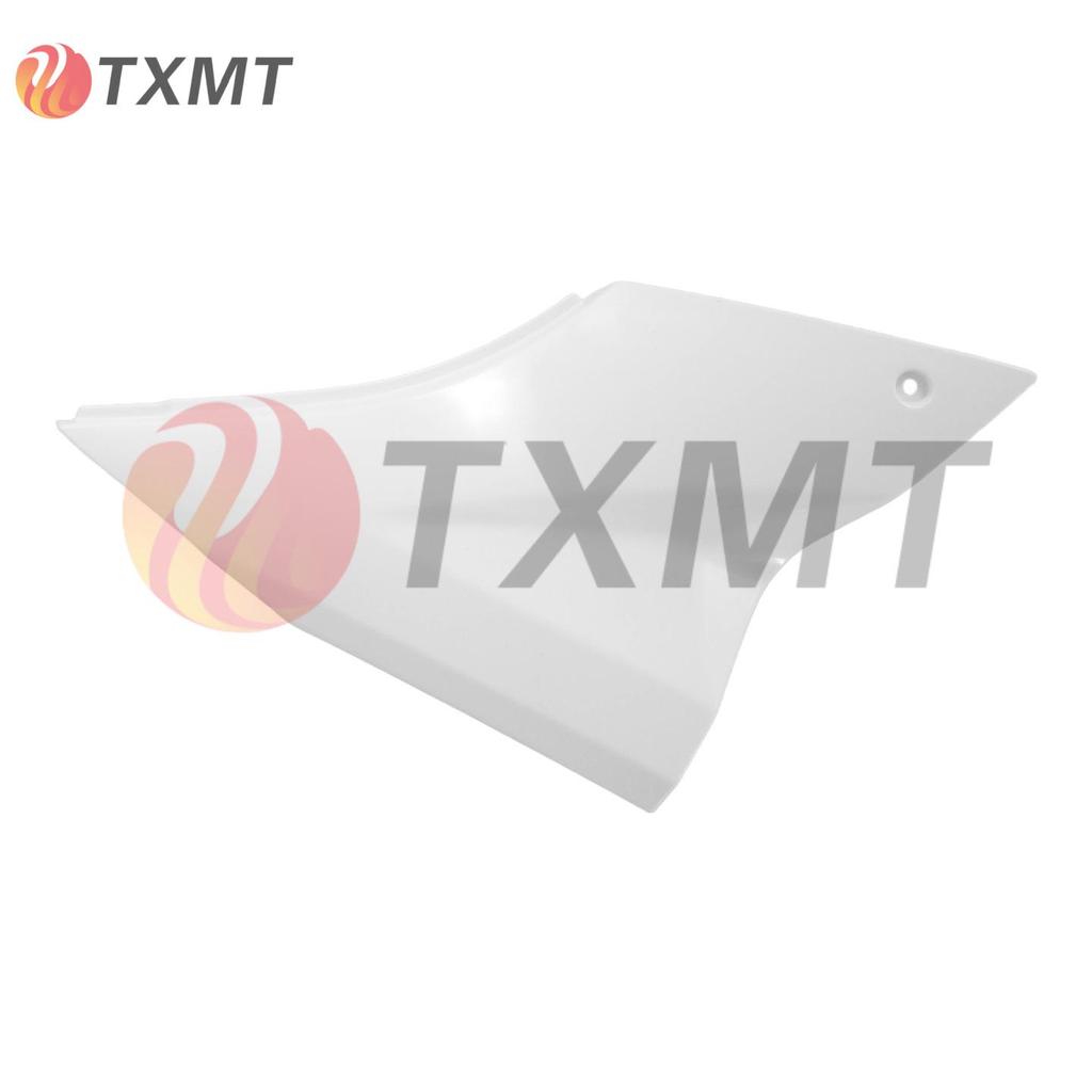 Kawasaki ZX-10R Fairing & Light Cover Set (2006-2007)