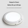Motion Sensor Rechargeable Ceiling Light
