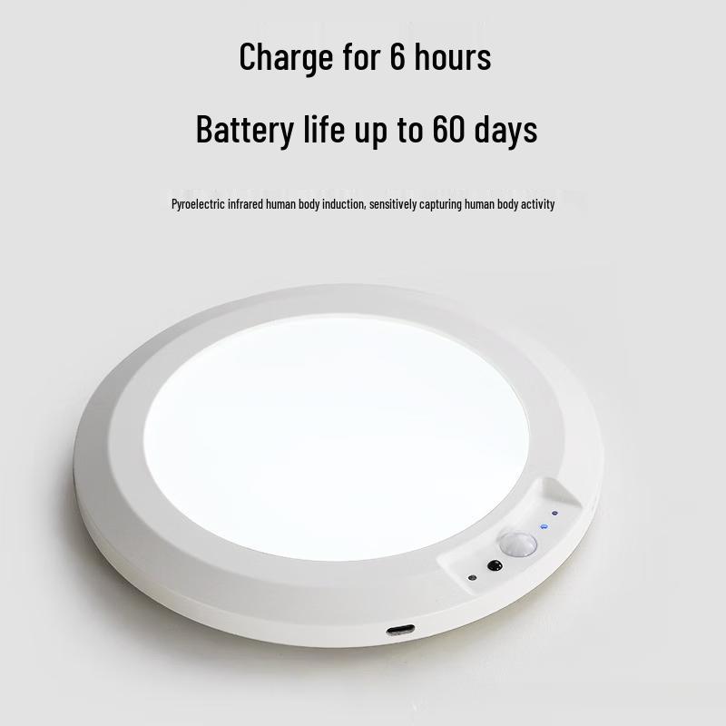Motion Sensor Rechargeable Ceiling Light