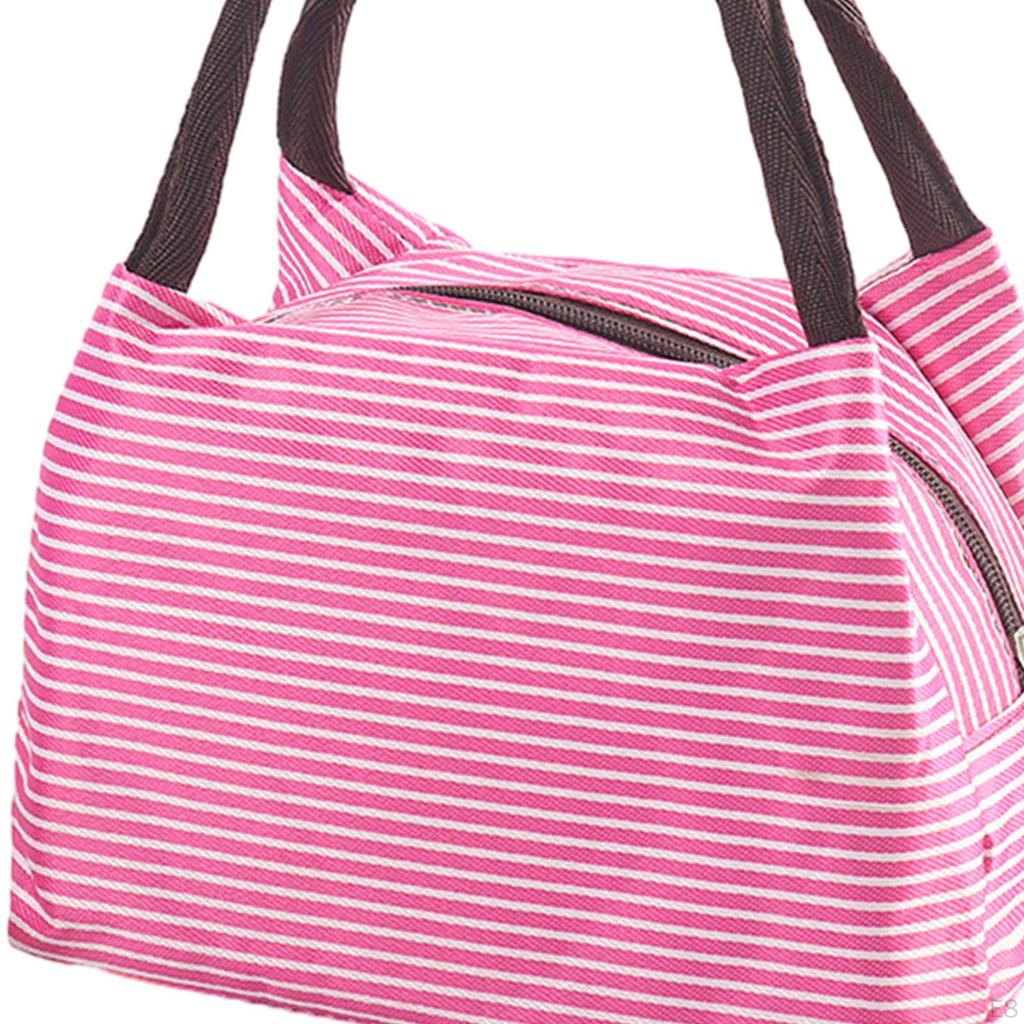 Lunch Totes Pouch with Zipper Picnic Tote Food Box Bags for