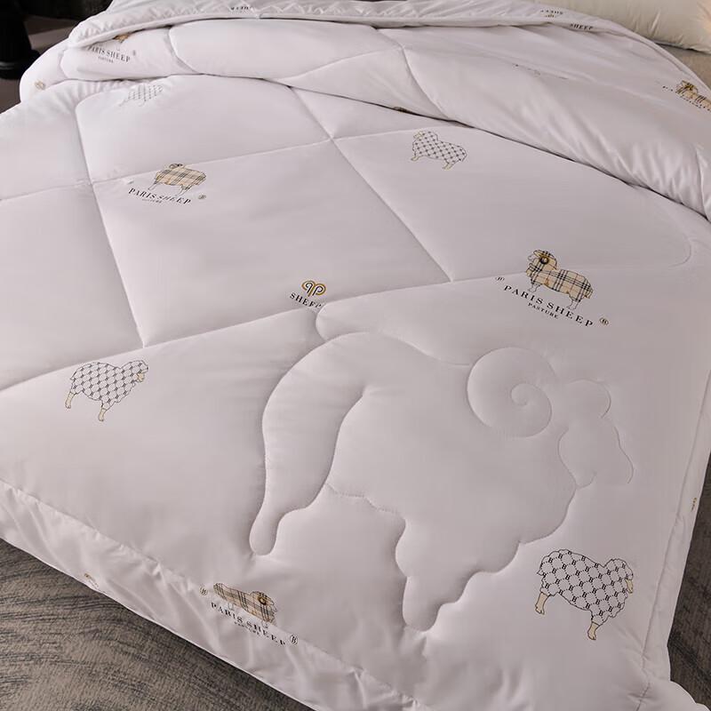 Pierre Cardin Australian Wool Quilt