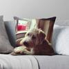 Softcoated Wheaten Terrier Vierkante Kussensloop Polyester Linnen Fluweel Bedrukt Rits Decoratie Huis Kussenhoes
