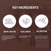 the SKIN HOUSE - Wrinkle Collagen Cream
