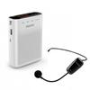 Philips SBM230 Portable Wireless Amplifier