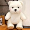 30cm Kawaii Stuffed Animal Jointed Bear Plush Toy Doll Teddy Bear featuring Movable Limbs and Head Cute Birthday Gift Idea ideal for Girls Children