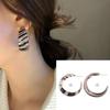 Acrylic Hoop Earrings for Women Girl Hoop Set,Resin Hoops Leopard Earrings Tortoise for Shell Resin Acrylic Hoop Earring