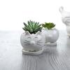 European Mengmeng Cartoon Kitten White Ceramic Flower Pot, Creative Gardening Balcony Succulent Flower Pot Ornament