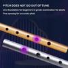 Rich Tone Irish Whistle Flute 6 Holes Irish Tin Whistle Musical Instruments  for Beginners