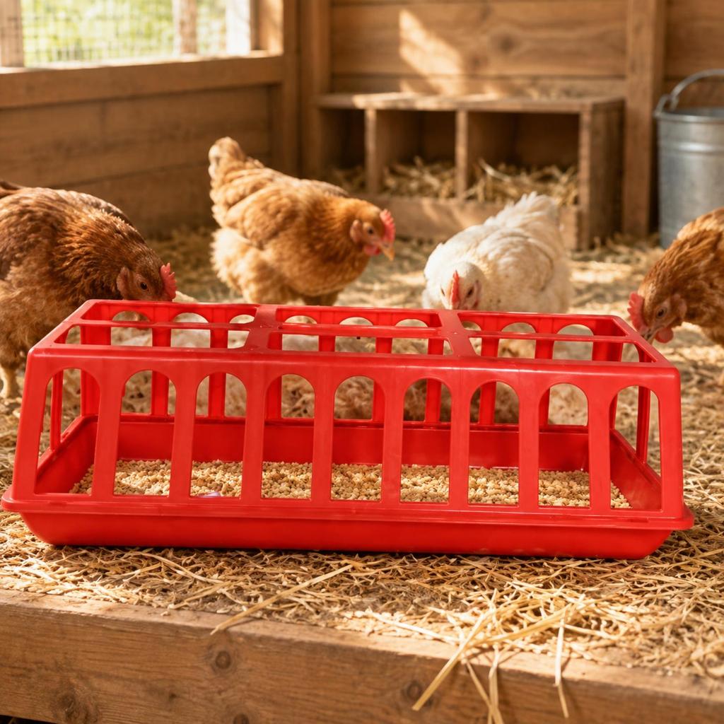 Poultry Feeder with Internal Partitions Multi-Use Feeding Trough Chicken